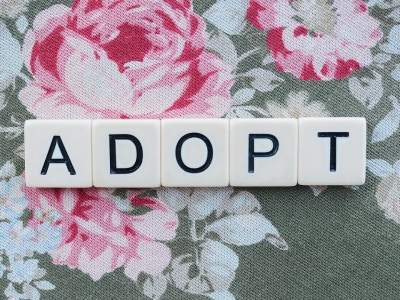 scrabble letters that spell adopt