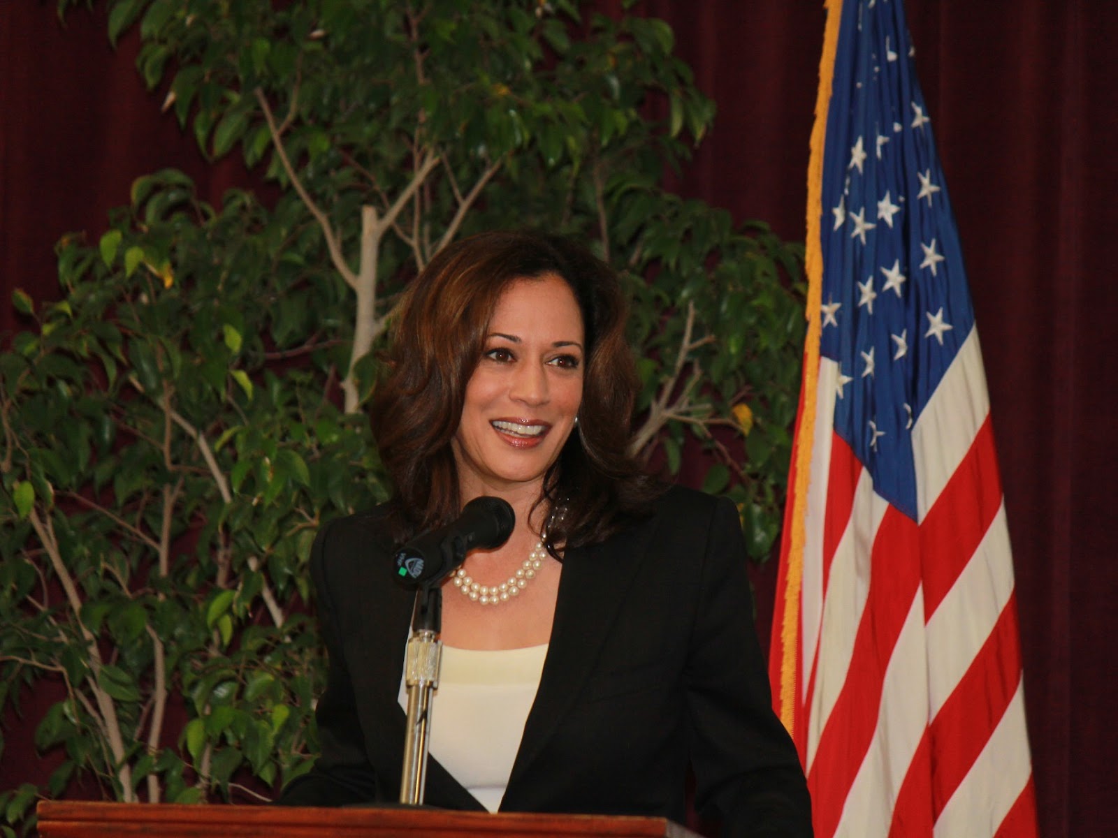 Vice President Kamala Harris