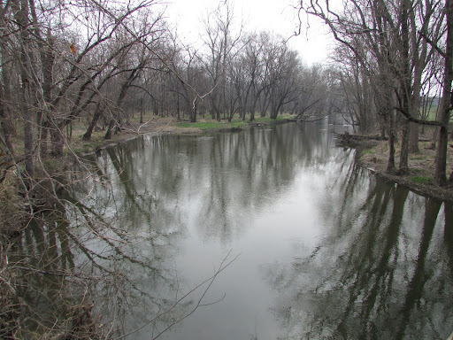 river in the woods