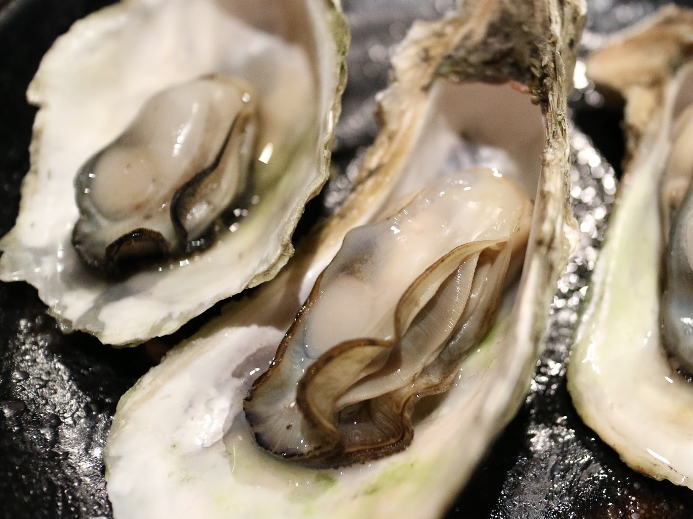 Oysters on a half shell