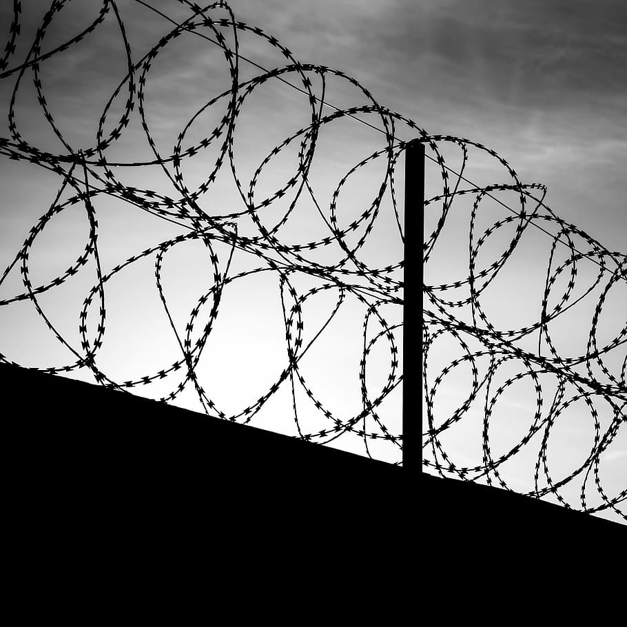 Barb wire
