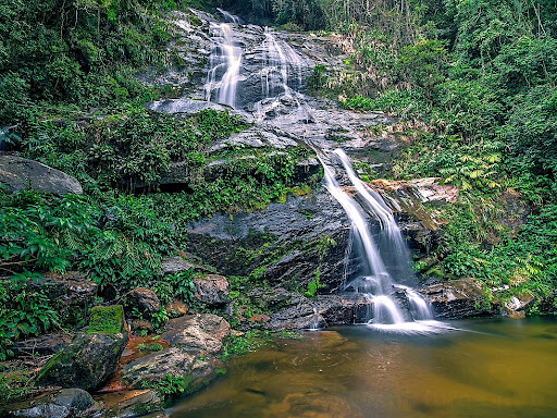 Waterfall in forest