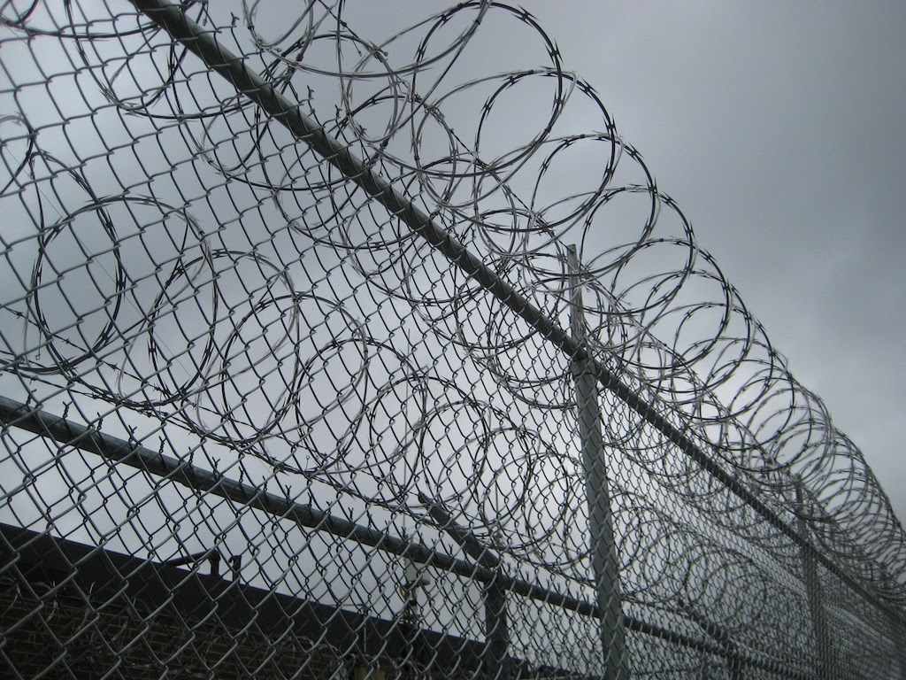 Barbed wire fence