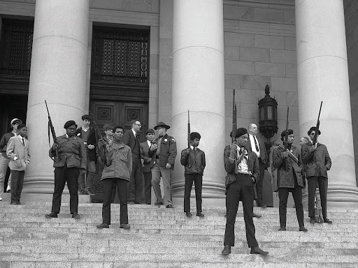 black panther demonstration