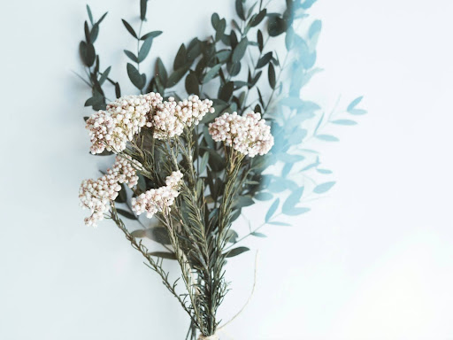 bouquet of white flowers