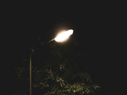 turned on post lamp beside a tree