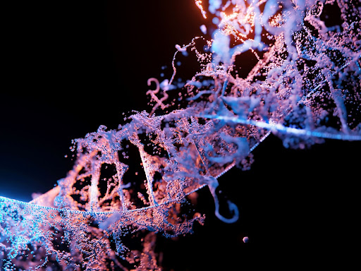 dna helix