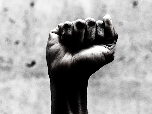 raised clenched fist