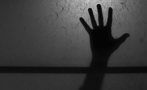 silhouette of a persons hand