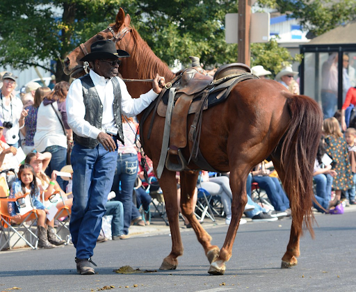 black cowboy and horse 