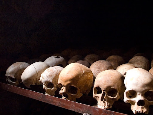 human skulls
