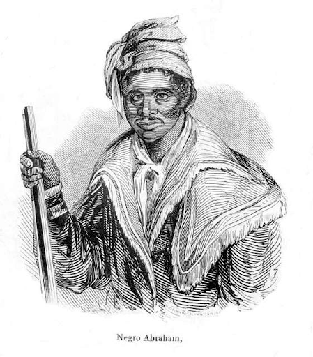 black seminole