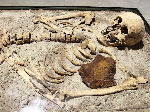 skeleton laying in dirt