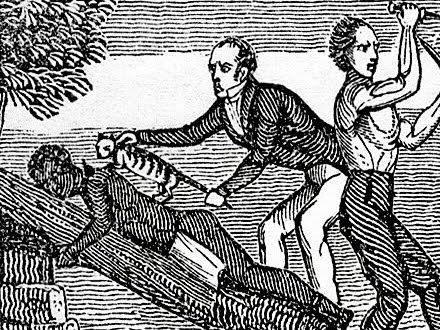 cat hauling excerpt from woodcut