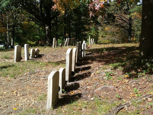 tombstones in a graveyard