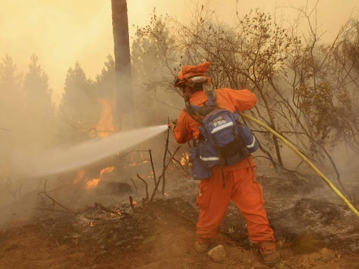 incarcerated firefighters fighting the wildfires