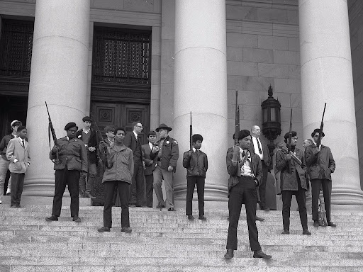 black panther demonstration