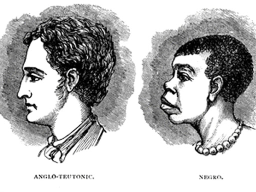 racist diagrams 