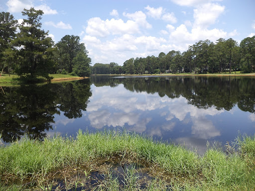 photo of lake irma