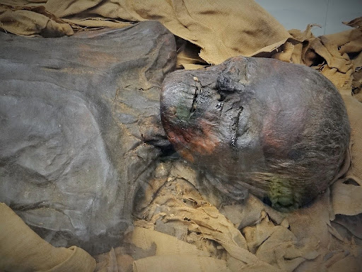 egyptian mummy in british museum 