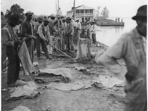 photograph of flood