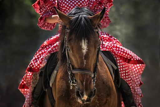 horse with someone riding horseback
