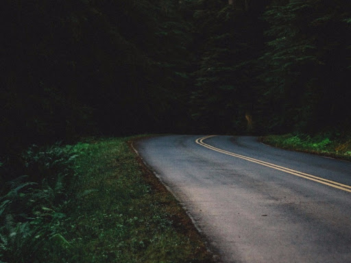 road in nature
