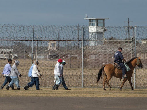 prisoners at angola prison