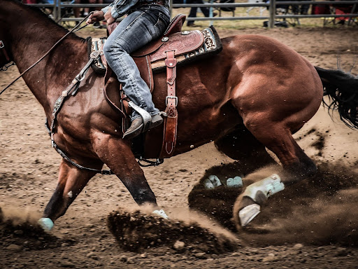 cowboy on a rodeo horse
