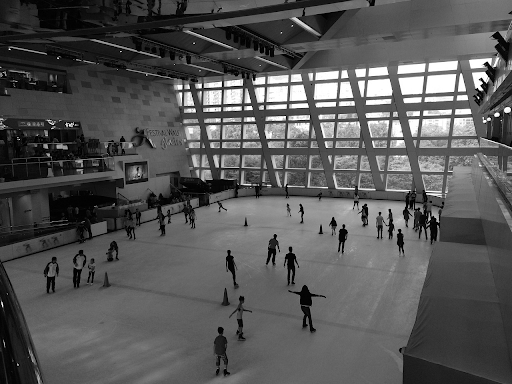 skating rink