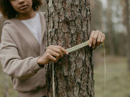 a woman measuring a tree trunk