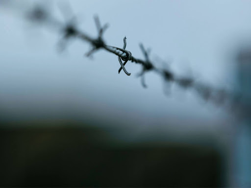 water droplets on gray barbed wire