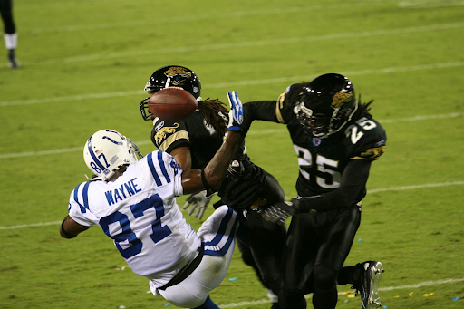 reggie nelson on the football field