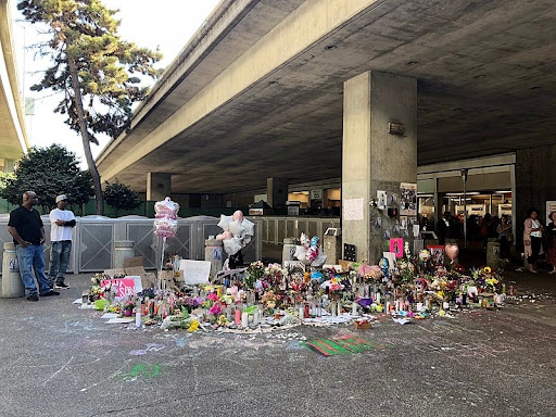 nia wilson memorial macarthur station 