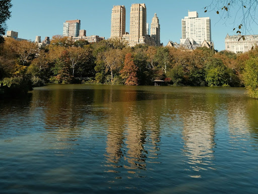 a body of water surrounded by tall buildings
