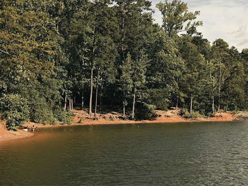 a body of water of water surrounded by trees and dirt