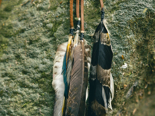 a couple of feathers hanging from a tree branch