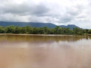 photo of body of brown-ish body of water with trees lining the background