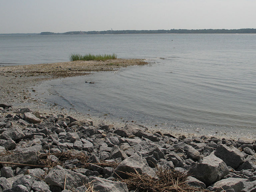 dafuskie island shore line 