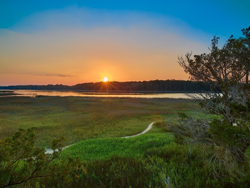 skidaway island
