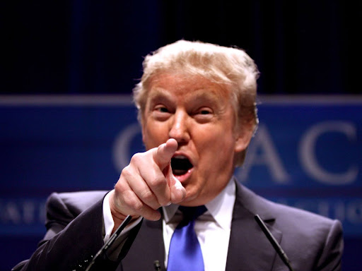 donald trump pointing with mouth open