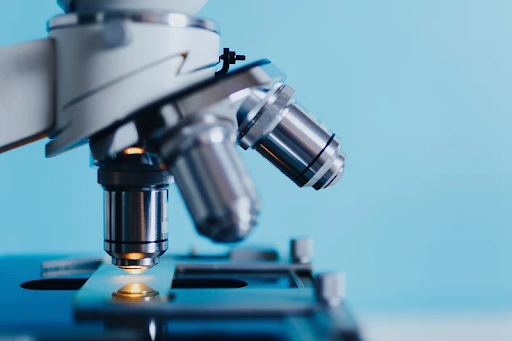 microscope with slide 