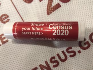 Census 2020 branded gift