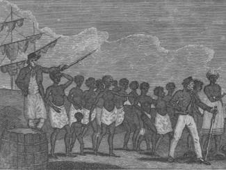 Drawing called "Negroes just landed from a slave ship"