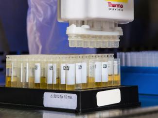 lab testing with vials filled with yellow liquid