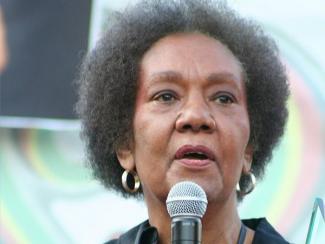 Frances Cress Welsing