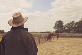 Man in cowboy hat watching horses