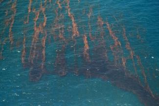 Ocean oil spill