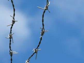 barbed wire