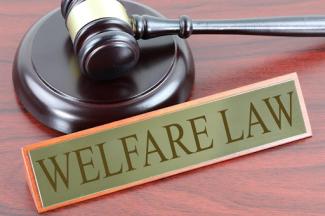 gavel in front of a sign that says welfare law
